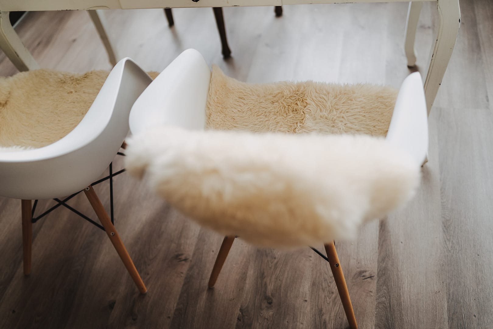 Fotostudio für Businessfotos in Ichenhausen